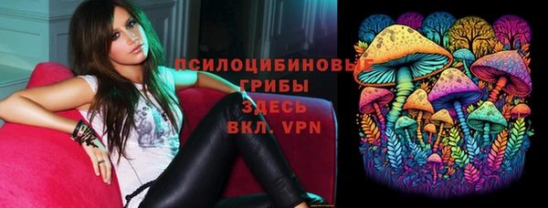 синтетический гашиш Белокуриха