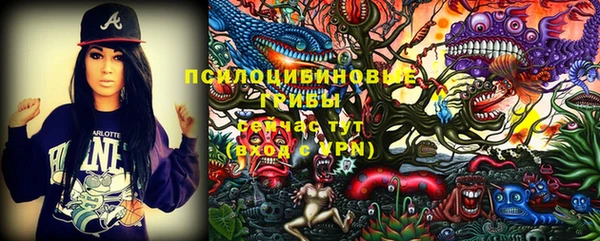 синтетический гашиш Белокуриха